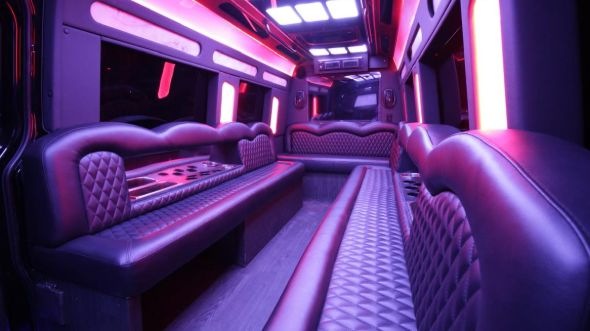 eagan sprinter limo rental rental